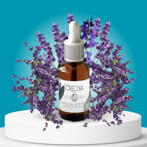 Essentiële Olie Lavendel • Lavandula Angeustifolia Aromatherapie - 10 ML