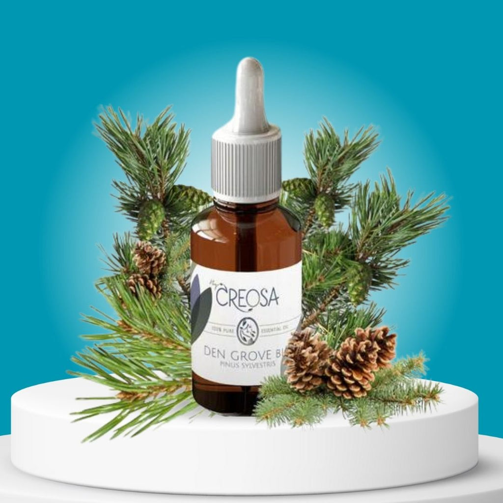 Essentiële Olie Den Grove • Pinus Sylvestris Aromatherapie - 10 ML