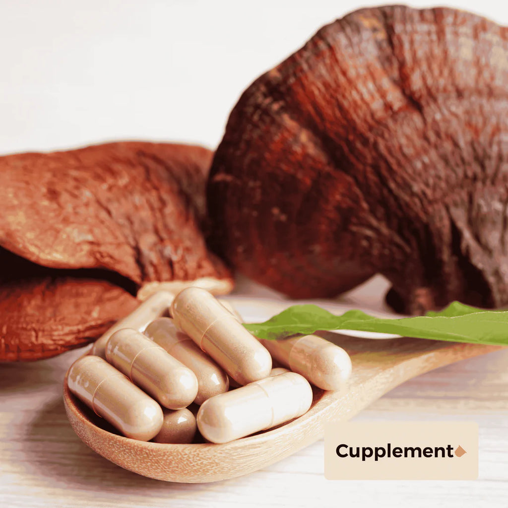 Reishi Capsules voor Immuunsysteem en Vitaliteit: Geconcentreerd 20:1 Reishi-extract in elke capsule zorgt voor optimale ondersteuning van het immuunsysteem en algemeen welzijn.
