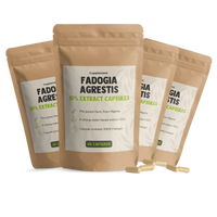 Fadogia Agrestis Extract Capsules • 100% Natuurlijk – 60 Stuks