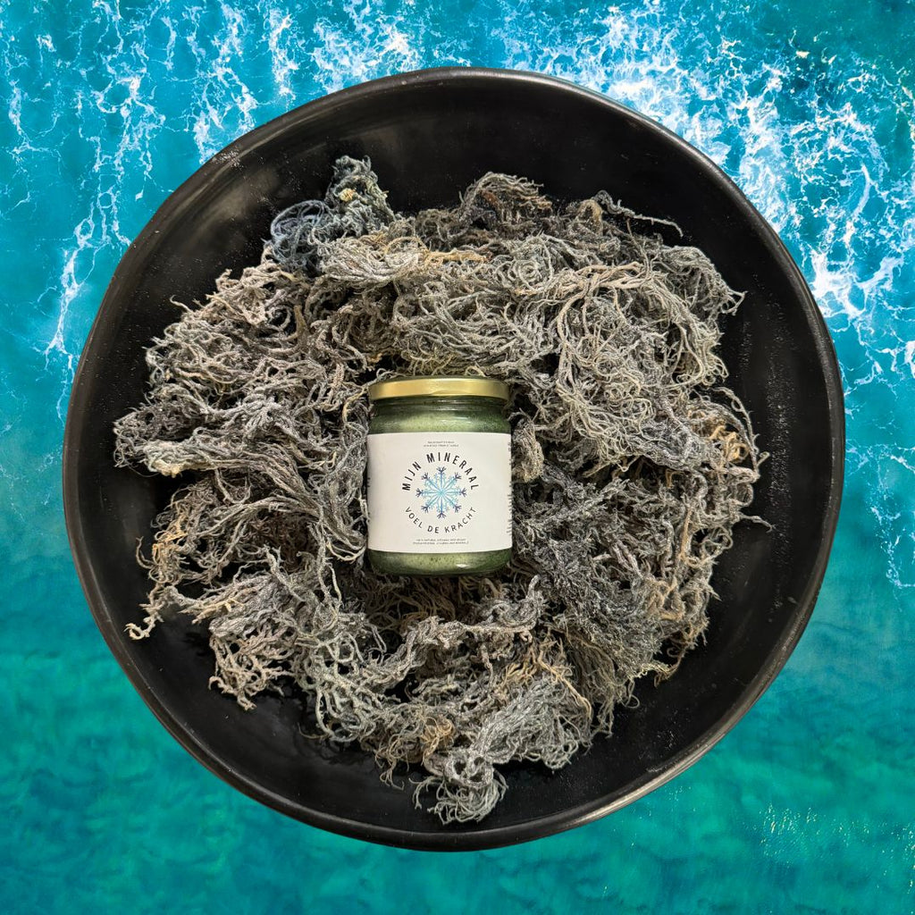 Wildgeplukte Sea Moss Gel "Green Hulk": 270 ML Sea Moss Gel uit Saint Lucia met de krachtige toevoegingen van Matcha en Moringa, biologisch, vegan en rijk aan mineralen en vitaminen.
