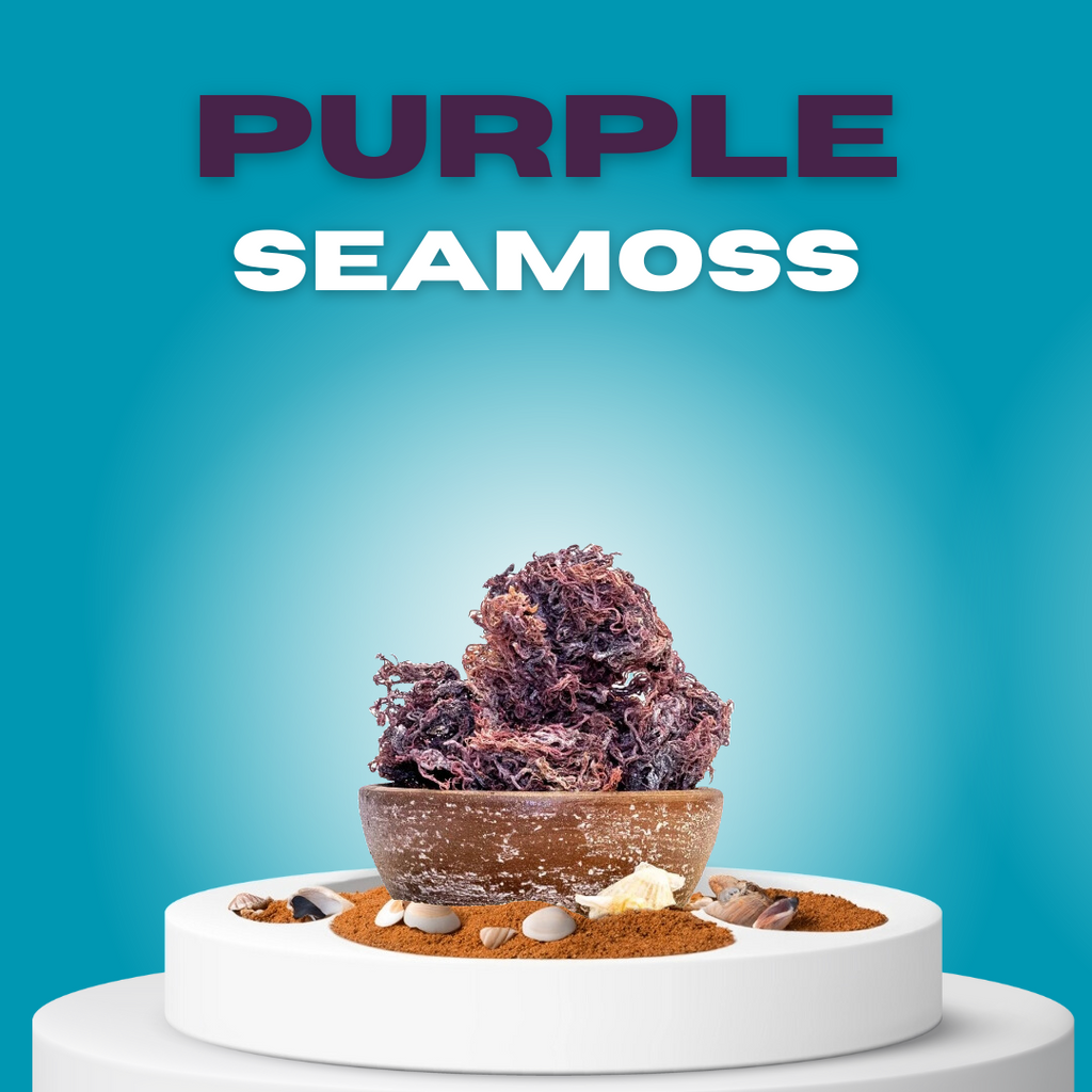 Seamoss paars droog wildgemaakt van St. Lucia - 100 gram zeemos purple