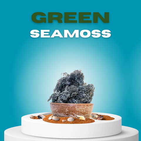 Zeemos groen droog wildgemaakt van St. Lucia - 100 gram seamoss green